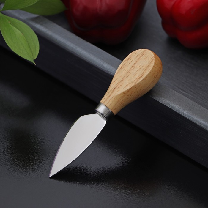Нож для сыра Доляна «Ломоть», ручка из гевеи, 12,1×3 см - фото 1907812355