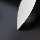 Нож для сыра Доляна «Ломоть», ручка из гевеи, 12,1×3 см - Фото 3