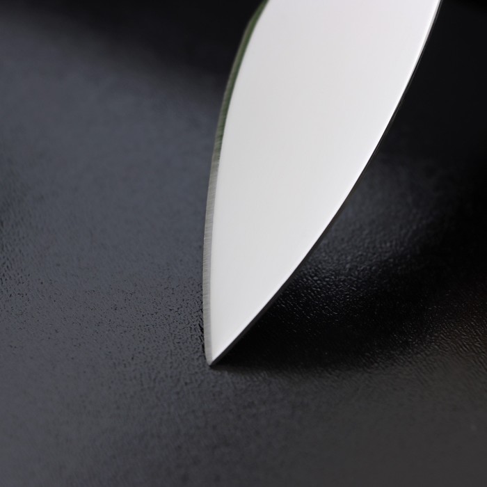 Нож для сыра Доляна «Ломоть», ручка из гевеи, 12,1×3 см - фото 1907812356