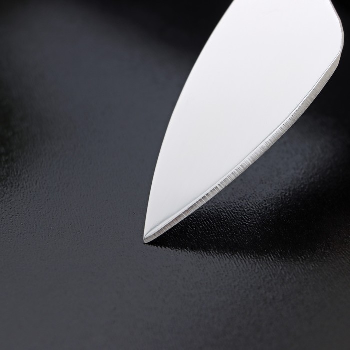Нож для сыра Доляна «Ломоть», ручка из гевеи, 12,1×3 см - фото 1907812357