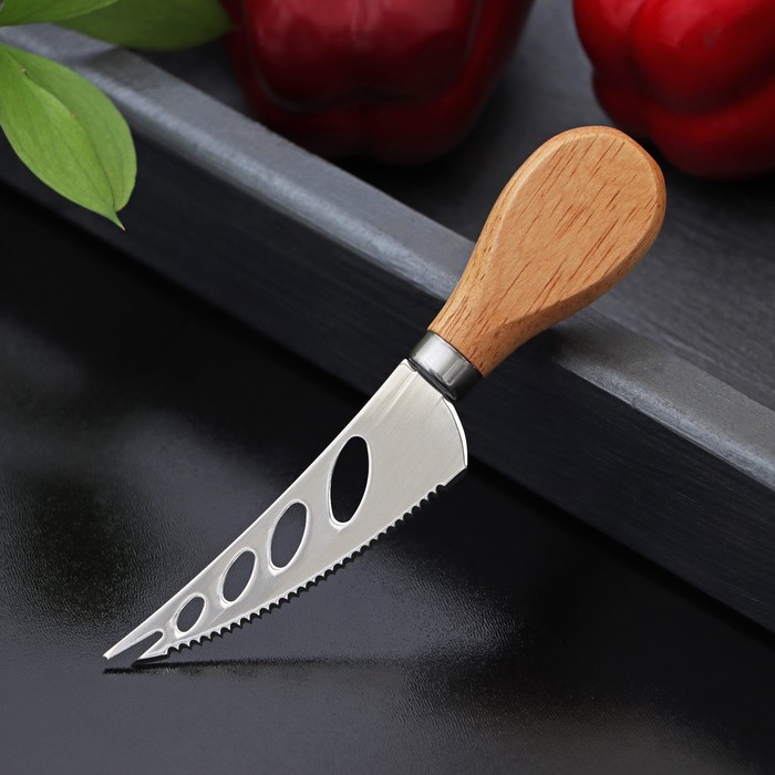 Нож для сыра Доляна «Ломоть», ручка из гевеи, 14,4×3 см - Фото 1