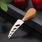 Нож для сыра Доляна «Ломоть», ручка из гевеи, 14,4×3 см - Фото 2