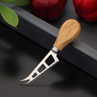 Нож для сыра Доляна «Ломоть», ручка из гевеи, 13,2×3,2 см - фото 296125641