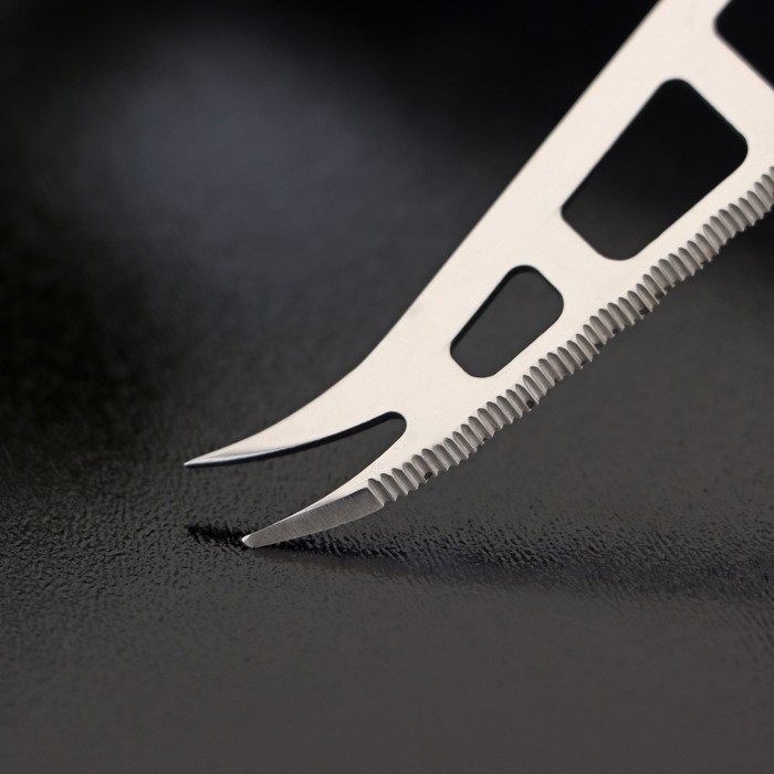 Нож для сыра Доляна «Ломоть», ручка из гевеи, 13,2×3,2 см - фото 1907812369