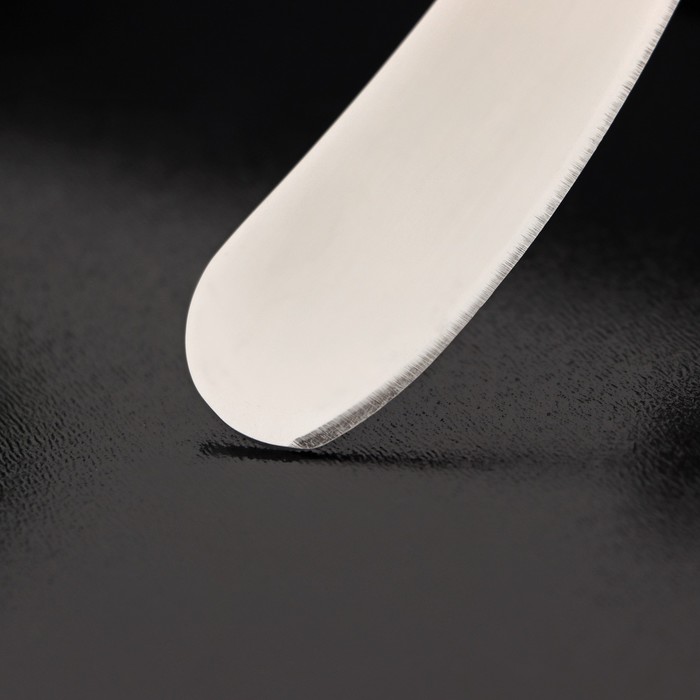 Нож для сыра Доляна «Ломоть», ручка из гевеи, 12,3×3 см - фото 1907812375