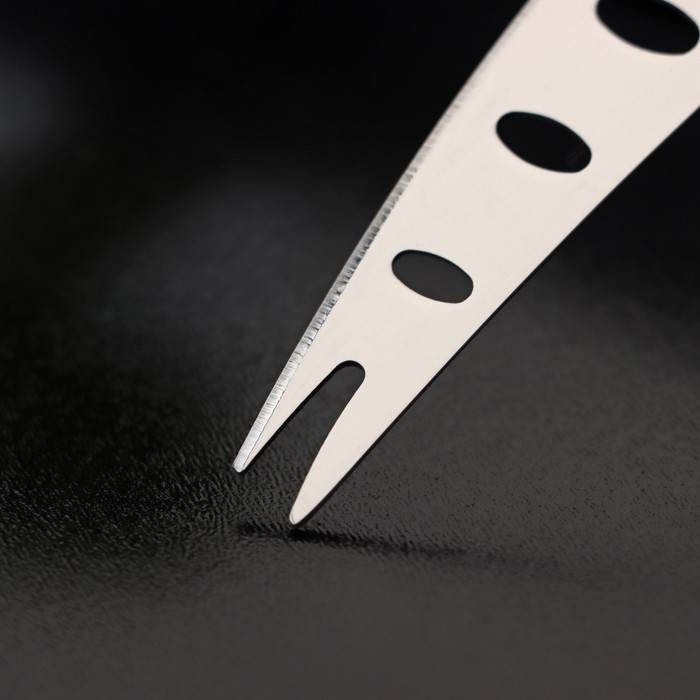 Нож для сыра Доляна «Ломоть», ручка из гевеи, 13,9×3 см - фото 1907812379