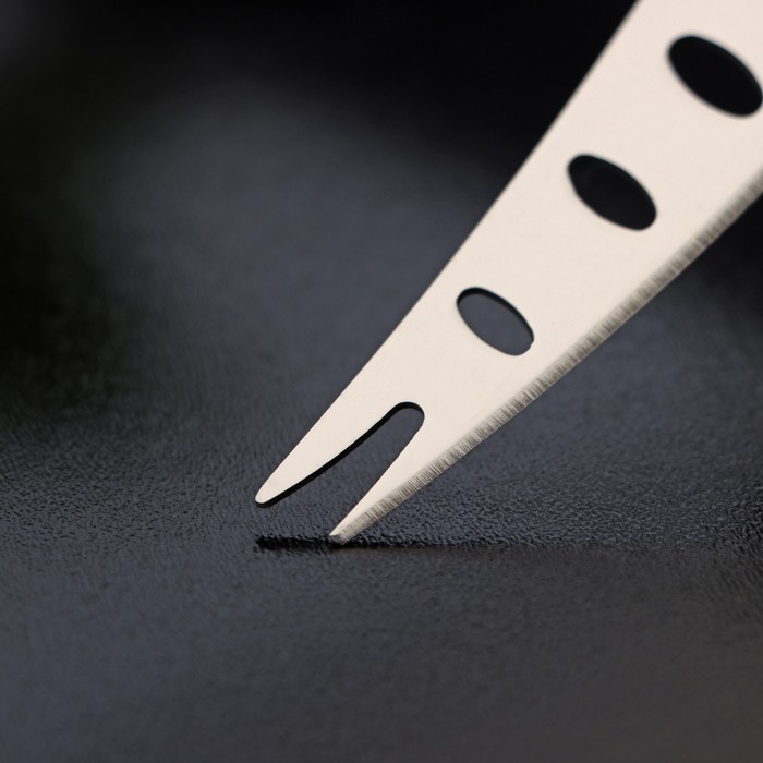 Нож для сыра Доляна «Ломоть», ручка из гевеи, 13,9×3 см - фото 1907812380