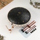 Музыкальный инструмент Глюкофон Music Life, черный, 15 лепестков, 33 см - фото 10900436