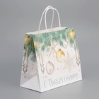 Пакет подарочный новогодний крафтовый «Серебро», 25 х 22 х 12 см (комплект 2 шт) - фото 22782663