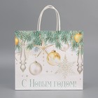 Пакет подарочный новогодний крафтовый «Серебро», 25 х 22 х 12 см (комплект 2 шт) - фото 22782664