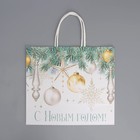 Пакет подарочный новогодний крафтовый «Серебро», 25 х 22 х 12 см (комплект 2 шт) - фото 22782665