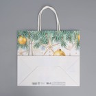 Пакет подарочный новогодний крафтовый «Серебро», 25 х 22 х 12 см (комплект 2 шт) - фото 22782666