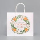 Пакет подарочный новогодний крафтовый «Тепла и уюта», 25 х 22 х 12 см, Новый год (комплект 2 шт) - фото 22782669