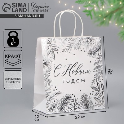 Пакет подарочный новогодний крафтовый «С Новым годом», 22×25×12 см