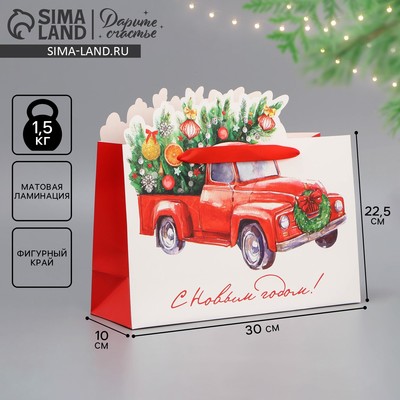 Пакет подарочный новогодний «С Новым годом», 30×25×10 см