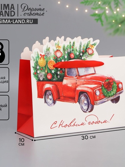 Пакет подарочный «Спешу к тебе», 30×19.4×10 см