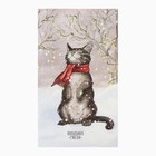 Набор подарочный Этель "Снежный кот": кух.полотенце 40х73см, прихватка 17х17см; хлопок 100%, - Фото 2