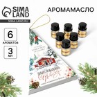 Аромамасла новогодние «Добро пожаловать в Новый год», на Новый год, набор 6 шт., 3 мл - Фото 1