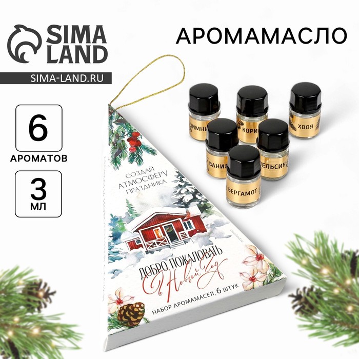 Аромамасла новогодние «Добро пожаловать в Новый год», на Новый год, набор 6 шт, 3 мл - Фото 1