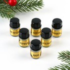 Аромамасла новогодние «Добро пожаловать в Новый год», на Новый год, набор 6 шт., 3 мл - Фото 3