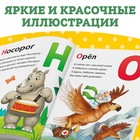 Книга в твёрдом переплёте «Азбука для малышей», Корней Чуковский, 48 стр. - Фото 5