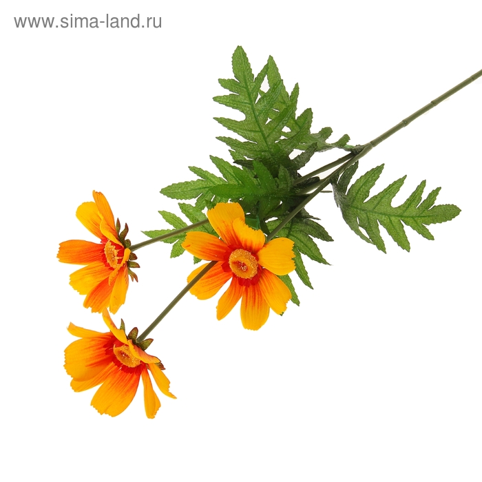 цветы искусственные космея бархат 70 см оранжевый - Фото 1