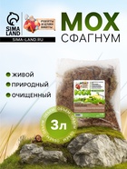 Мох сфагнум для террариумов «Рецепты дедушки Никиты» 3 л - Фото 1