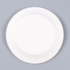 Набор бумажной посуды одноразовый Котик»: 6 тарелок, 1 гирлянда, 6 стаканов - фото 4612998