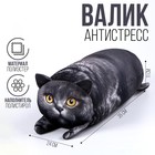 Подушка антистресс кот «Британец» - Фото 1