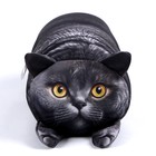 Подушка антистресс кот «Британец» - Фото 2