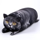 Подушка антистресс кот «Британец» - Фото 3