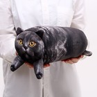 Подушка антистресс кот «Британец» - Фото 6