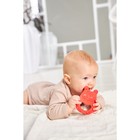 Прорезыватели Baby Toys «Зайка и Сова», цвет МИКС - Фото 3