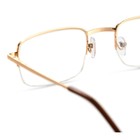 Готовые очки GA0244 (Цвет: C1 золотой; диоптрия: +3; тонировка: Нет) - фото 25326421