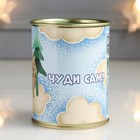 Копилка-подарок металл "Не жди чуда - чуди сам!" - фото 24551845