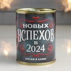 Носки в банке "Новых Успехов в 2024" (мужские, цвет черный) 9695036 - фото 10314071