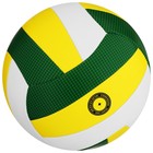 Мяч волейбольный MINSA Basic Nature, TPU, машинная сшивка, р. 5 - фото 8076129