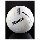 Волейбольный мяч MINSA Basic White, машинная сшивка, 18 панелей, р. 5, TPU - Фото 5