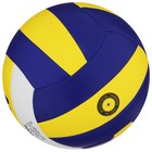 Мяч волейбольный MINSA Classic VSO2000, PU, машинная сшивка, р. 5 - фото 3613510