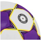 Мяч футбольный MINSA Match, TPU, ручная сшивка, 32 панели, р. 5 - фото 8076142