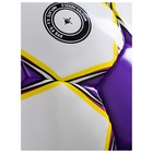 Футбольный мяч MINSA Match, ручная сшивка, 32 панели, р. 5, TPU - Фото 7