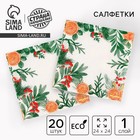 Салфетки бумажные «Новогодний аромат», однослойные, 24×24 см, 20 шт. - Фото 1