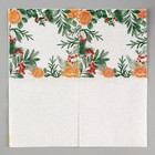 Салфетки бумажные «Новогодний аромат», однослойные, 24×24 см, 20 шт. - Фото 3