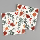 Салфетки бумажные «С Новым годом: шишки», однослойные, 24×24 см, 20 шт. - Фото 2