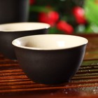 Набор для чайной церемонии керамический «Атмосфера», 6 предметов: чайник 250 мл, 3 пиалы 50 мл, тряпка, сумка, цвет коричневый - фото 4390946
