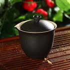 Набор для чайной церемонии керамический «Атмосфера», 6 предметов: чайник 250 мл, 3 пиалы 50 мл, тряпка, сумка, цвет коричневый - фото 4390948