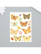 Переводные тату на тело цветные «Бабочки», с золотом, 7.5?11 см, МИКС (комплект 8 шт) - фото 43748065