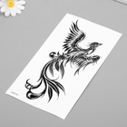 Переводная тату на тело чёрная «Летящий феникс», 11.5×21 см - фото 44640393
