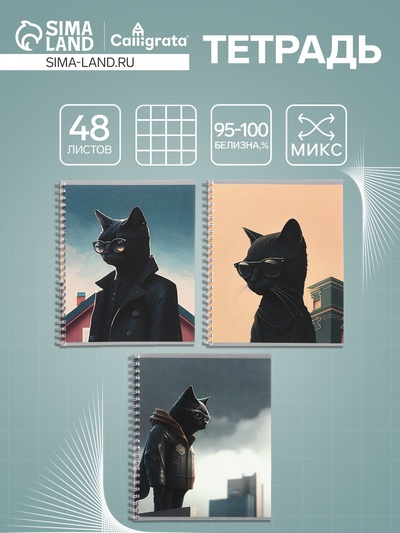 Тетрадь 48 листов в клетку на гребне, Calligrata «Чёрный Кот», МИКС