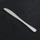 Нож столовый «Классика», длина 22 см, толщина 4 мм, нержавеющая сталь - фото 11107366
